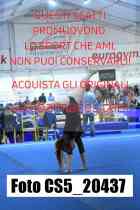 CS5_20437-