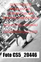 CS5_20446-