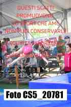 CS5_20781-