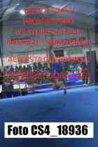 CS4_18936-