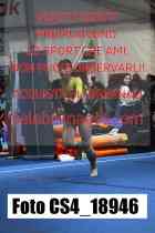 CS4_18946-