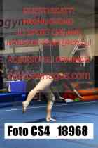 CS4_18968-