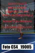 CS4_19005-
