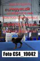CS4_19042-