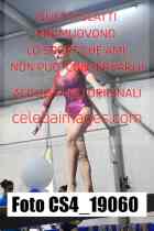 CS4_19060-