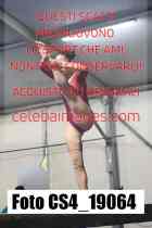 CS4_19064-