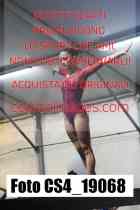 CS4_19068-
