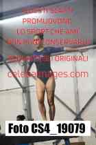 CS4_19079-