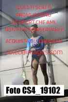 CS4_19102-