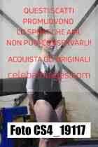 CS4_19117-