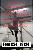 CS4_19124-