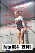 CS4_19141-