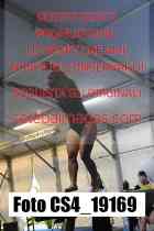 CS4_19169-