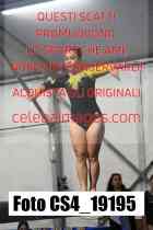 CS4_19195-