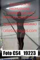 CS4_19223-