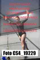 CS4_19229-