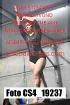 CS4_19237-