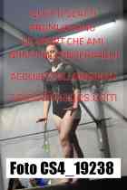 CS4_19238-