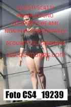 CS4_19239-