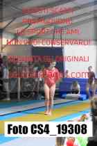 CS4_19308-
