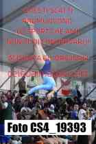CS4_19393-