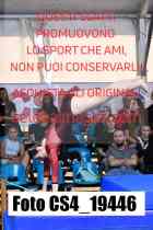 CS4_19446-