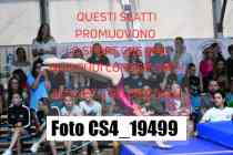CS4_19499-