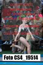 CS4_19514-