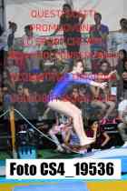 CS4_19536-