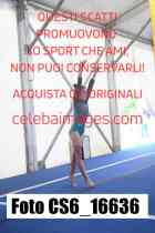CS6_16636-