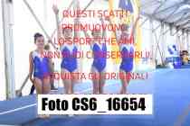 CS6_16654-