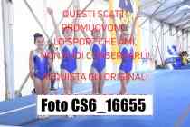 CS6_16655-