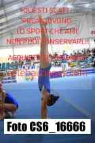 CS6_16666-