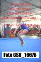 CS6_16676-