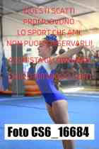 CS6_16684-