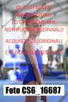 CS6_16687-
