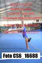 CS6_16688-