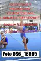 CS6_16695-