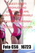 CS6_16723-