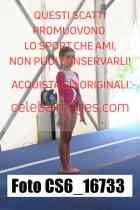 CS6_16733-