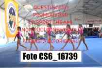 CS6_16739-