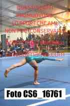 CS6_16761-