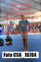 CS6_16784-