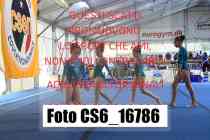 CS6_16786-