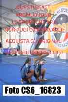 CS6_16823-