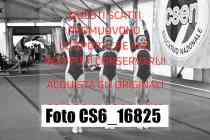 CS6_16825-