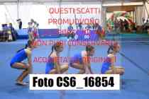 CS6_16854-