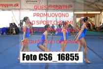 CS6_16855-
