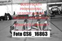 CS6_16863-