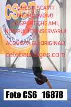 CS6_16878-